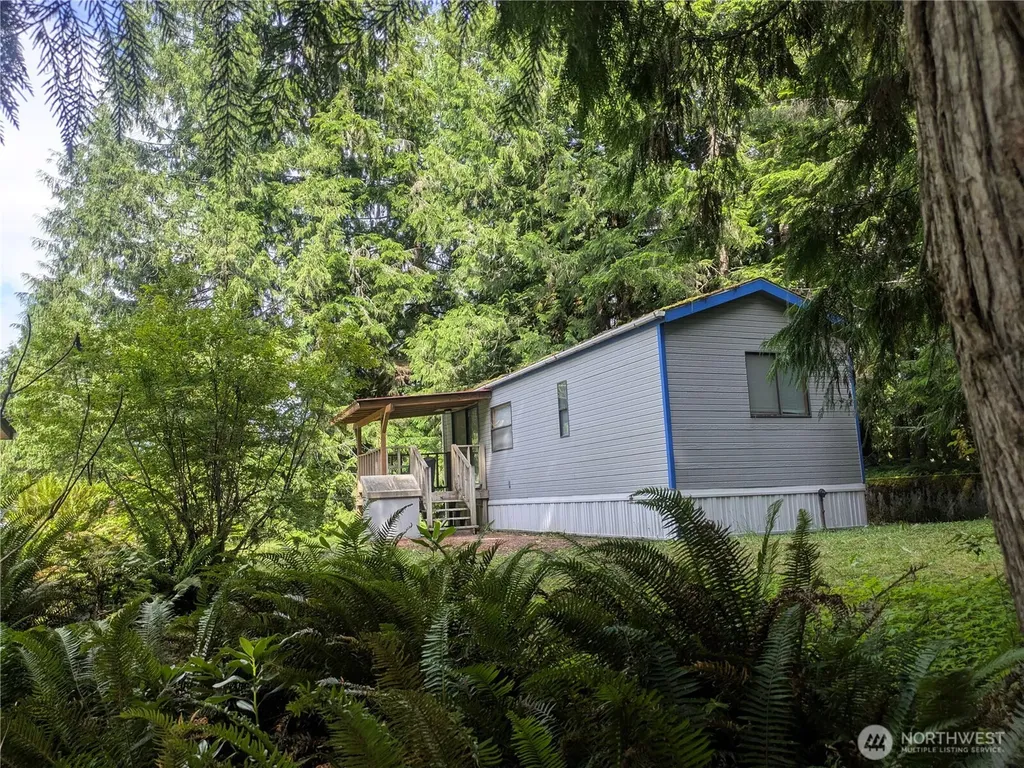 44787 Kachess Trail Concrete WA 98237
