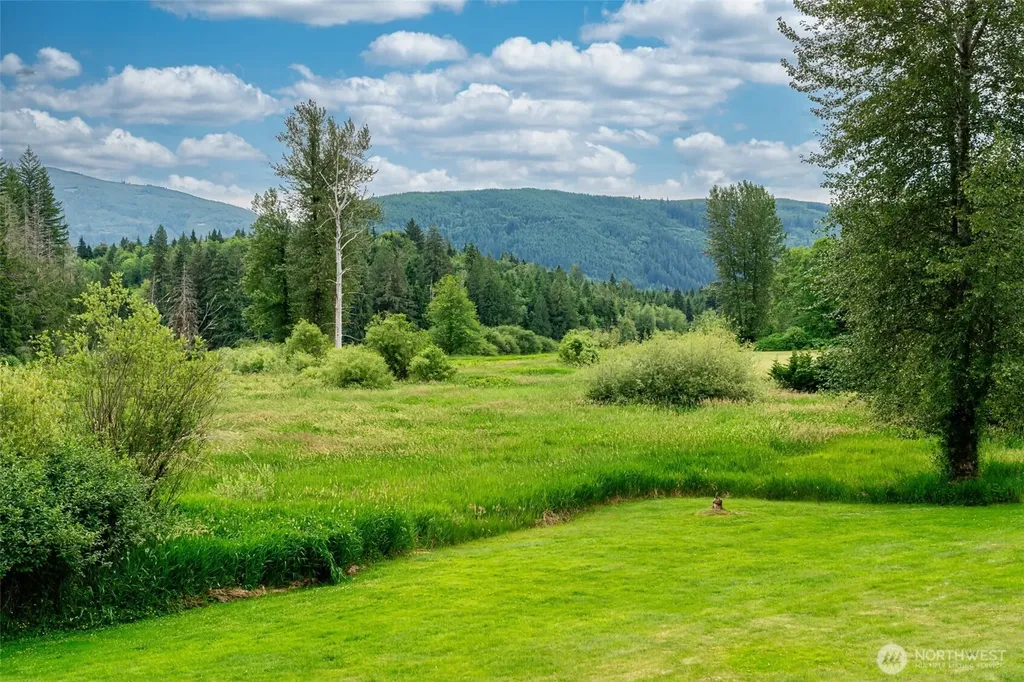 3124 Mosquito Lake Road Deming WA 98244