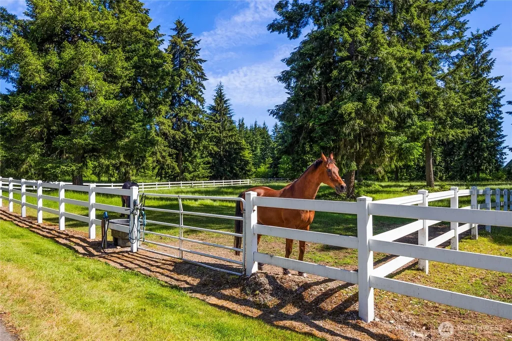 6504 44th Avenue NE Olympia WA 98516