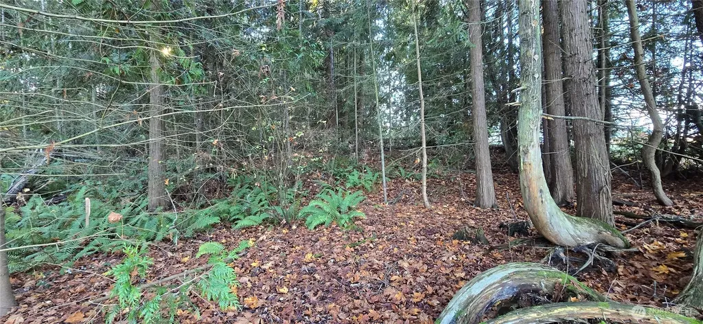 4 Lunderville Lane Port Angeles WA 98362