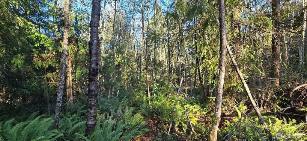 4 Lunderville Lane Port Angeles WA 98362