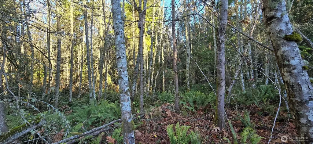 4 Lunderville Lane Port Angeles WA 98362