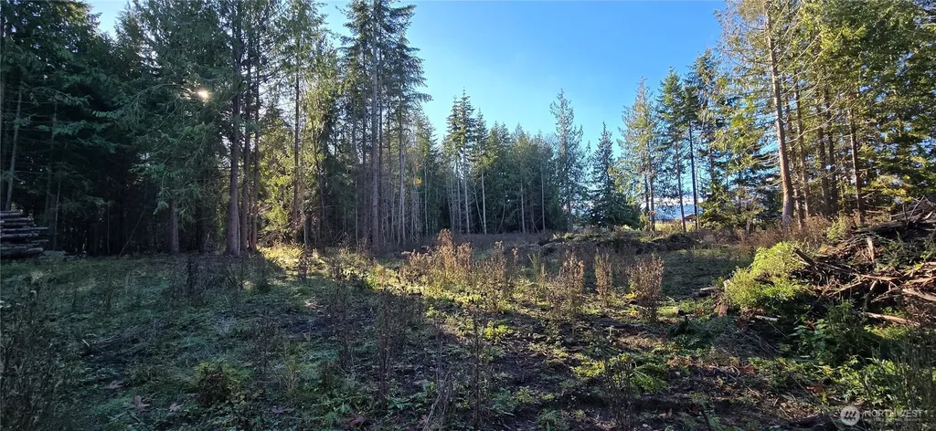 4 Lunderville Lane Port Angeles WA 98362