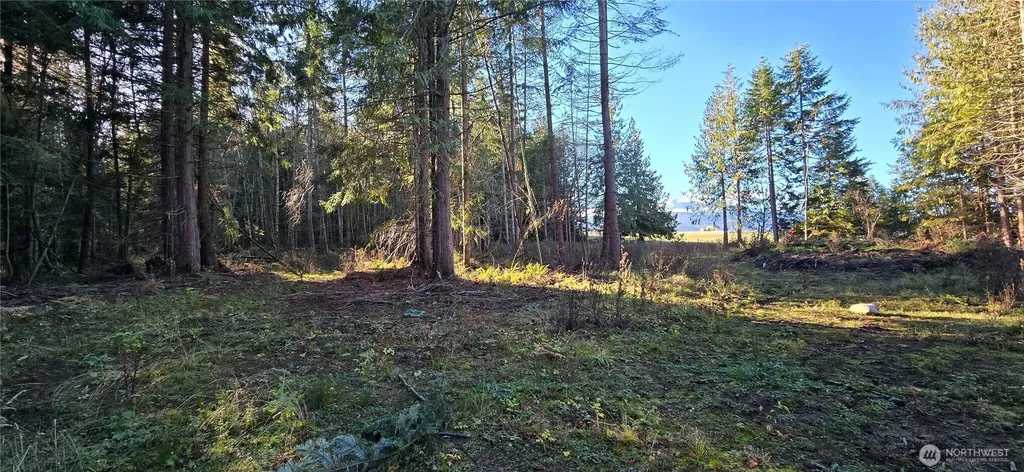 4 Lunderville Lane Port Angeles WA 98362