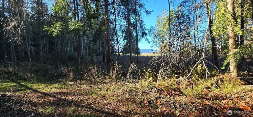 4 Lunderville Lane Port Angeles WA 98362