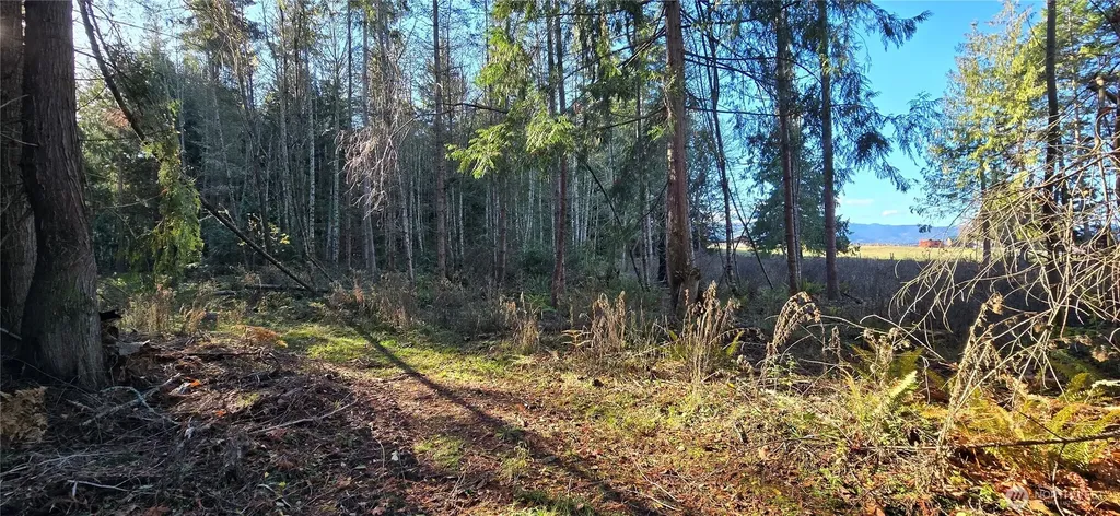 4 Lunderville Lane Port Angeles WA 98362