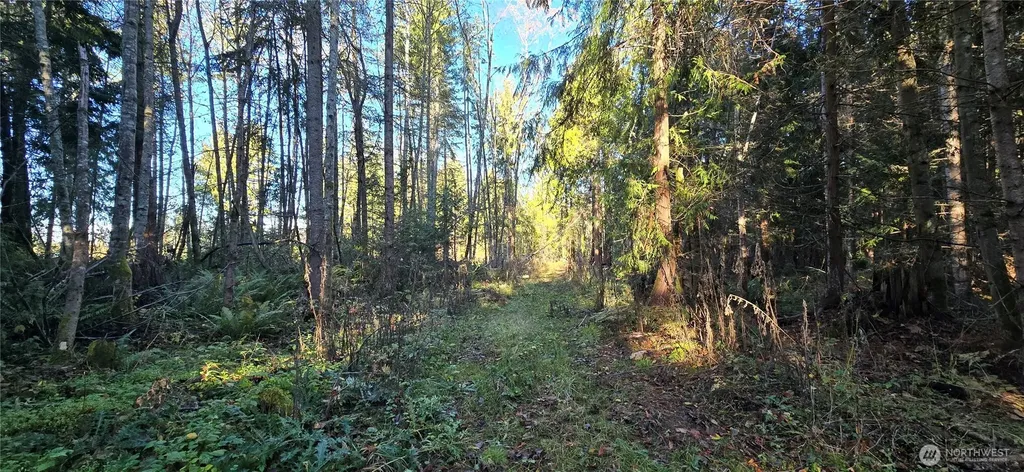 4 Lunderville Lane Port Angeles WA 98362