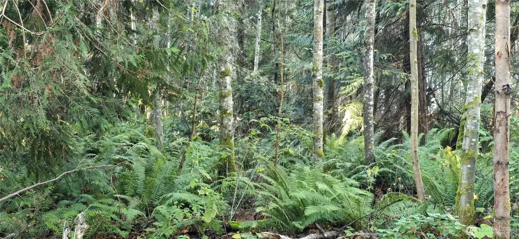 4 Lunderville Lane Port Angeles WA 98362