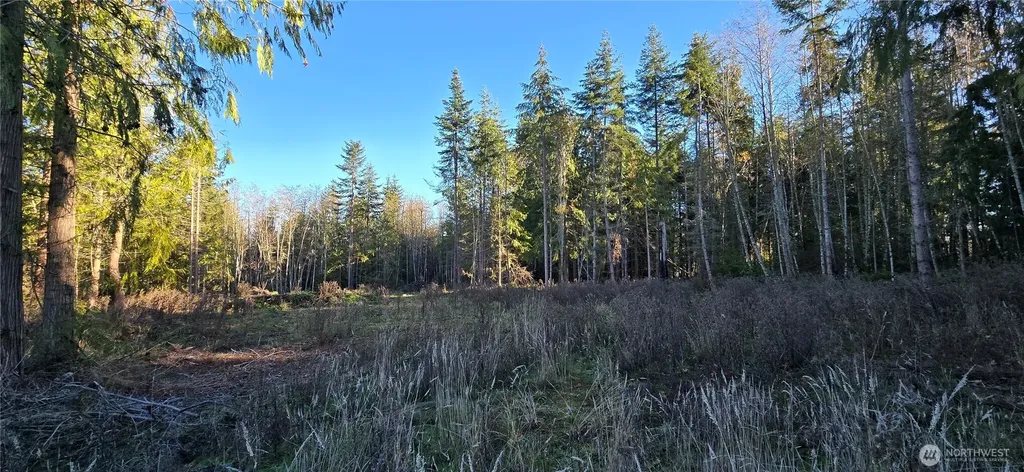 4 Lunderville Lane Port Angeles WA 98362