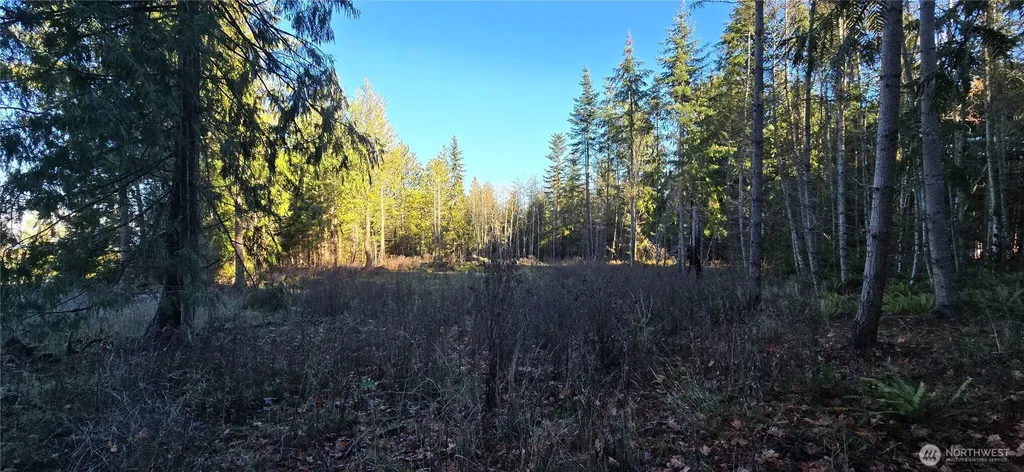 4 Lunderville Lane Port Angeles WA 98362