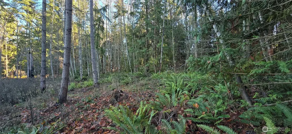 4 Lunderville Lane Port Angeles WA 98362