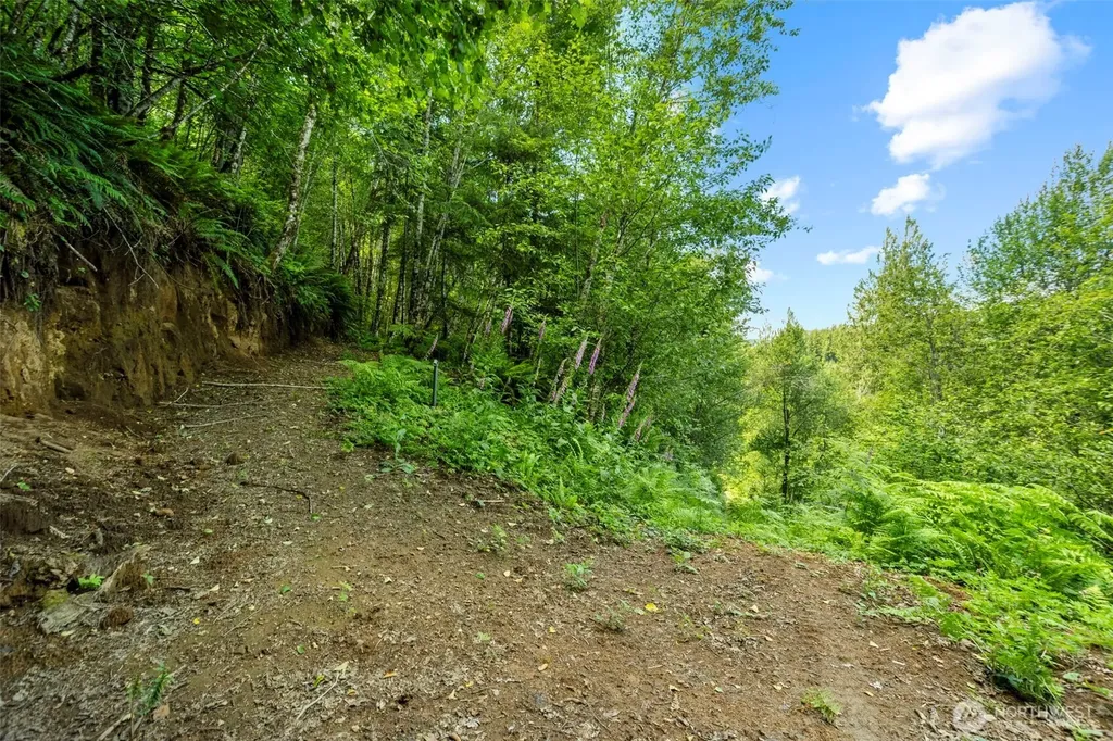 19005 NE Buncombe Hollow Road Woodland WA 98674