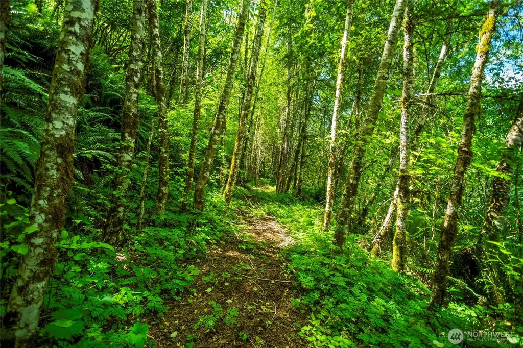 19005 NE Buncombe Hollow Road Woodland WA 98674