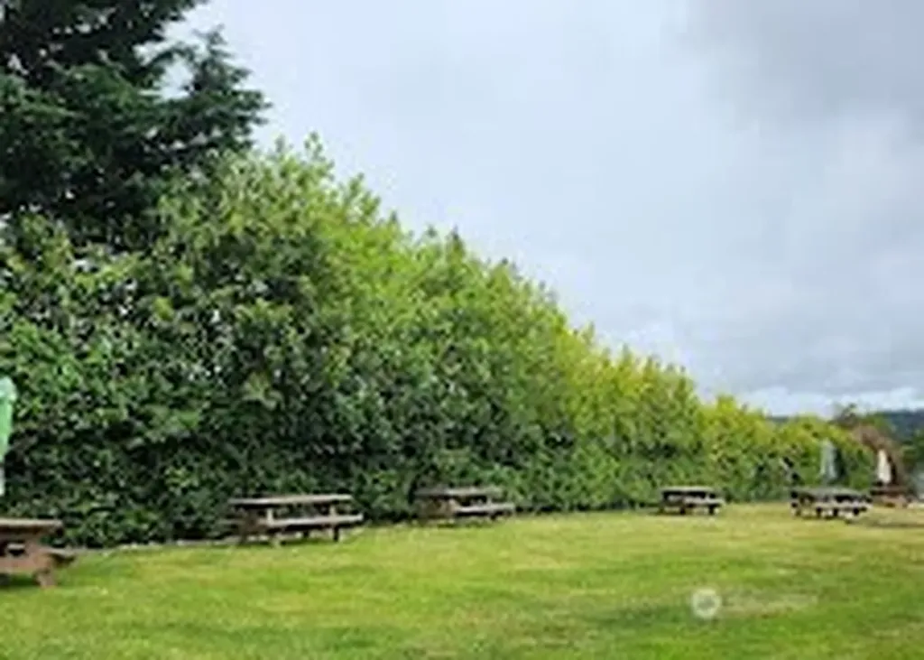 90 E Falls Place E Belfair WA 98528