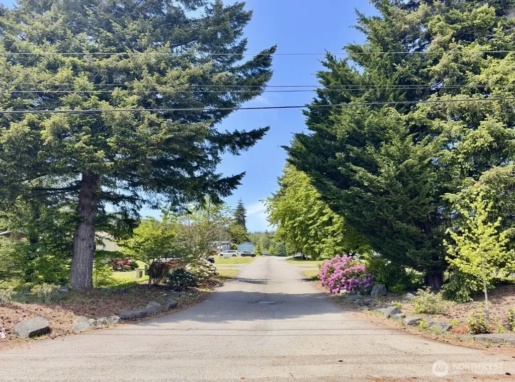 20 W Freedom Lane Shelton WA 98584