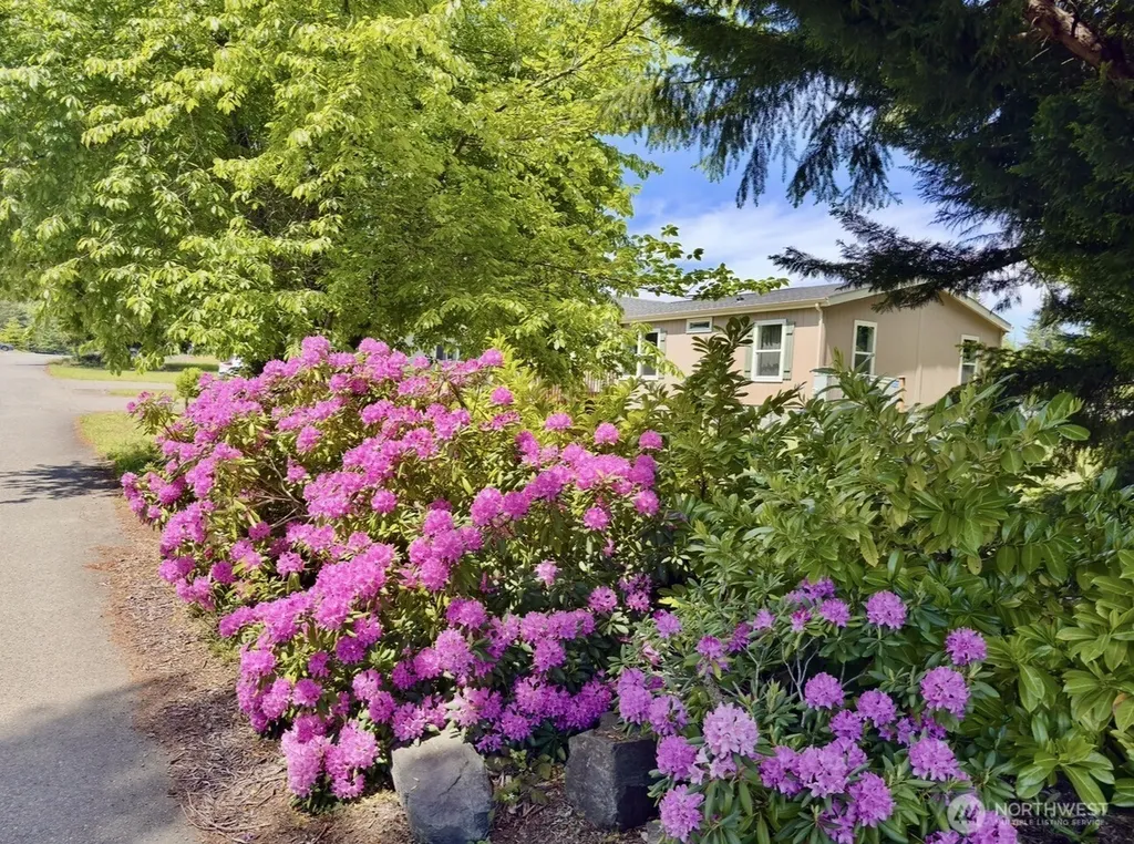 20 W Freedom Lane Shelton WA 98584