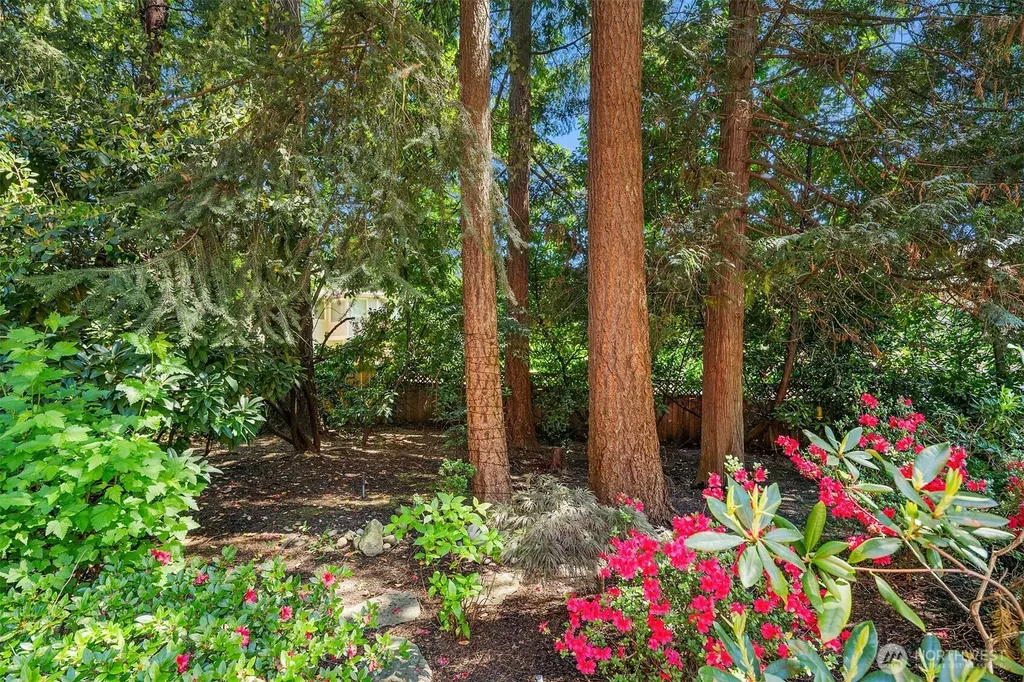 2302 126th Avenue NE Bellevue WA 98005