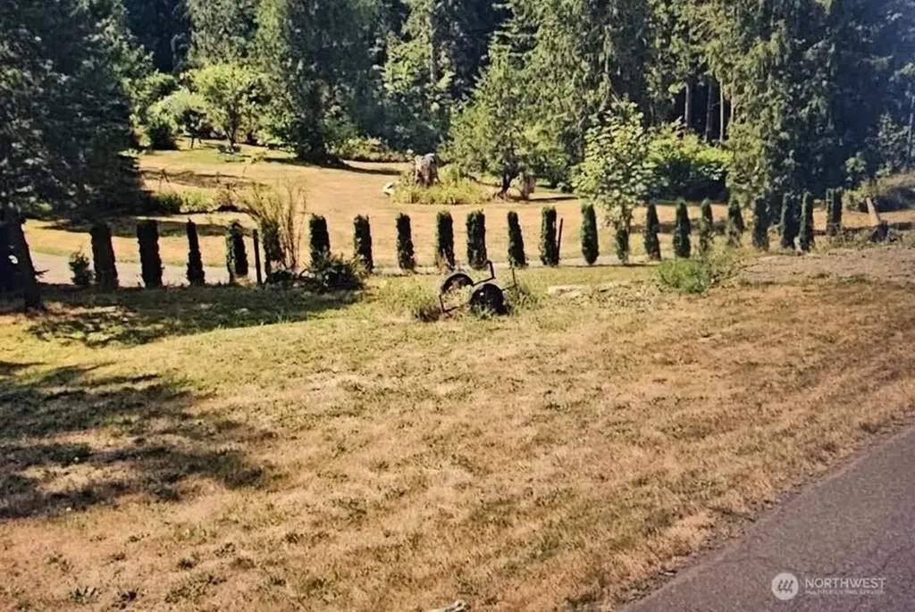 12 353rd Avenue SE Ravensdale WA 98051