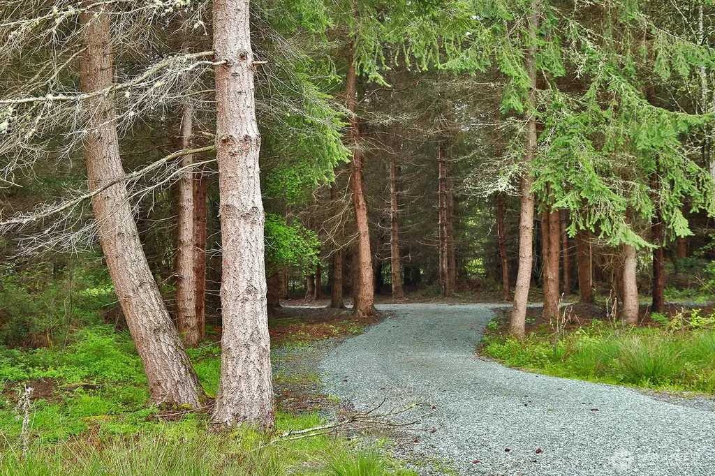 46 E Welcher Road Coupeville WA 98239