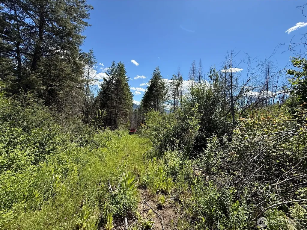 0 4th Of July Creek Road Danville WA 99121