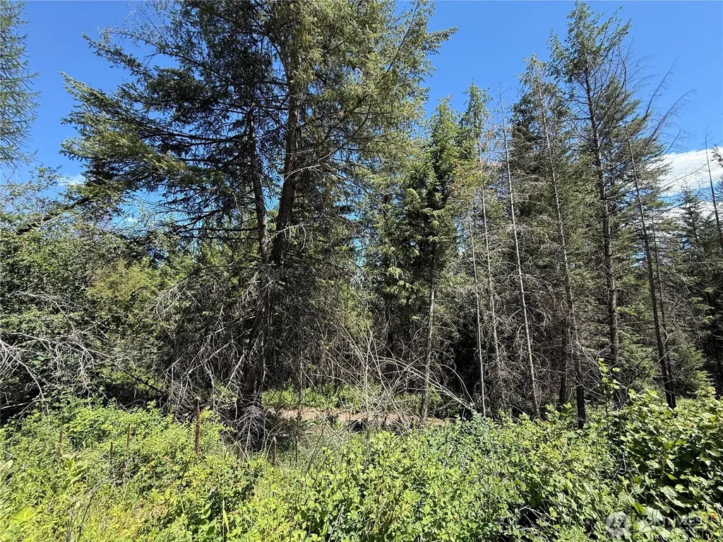 0 4th Of July Creek Road Danville WA 99121
