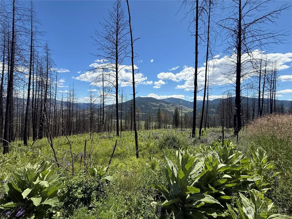 0 4th Of July Creek Road Danville WA 99121