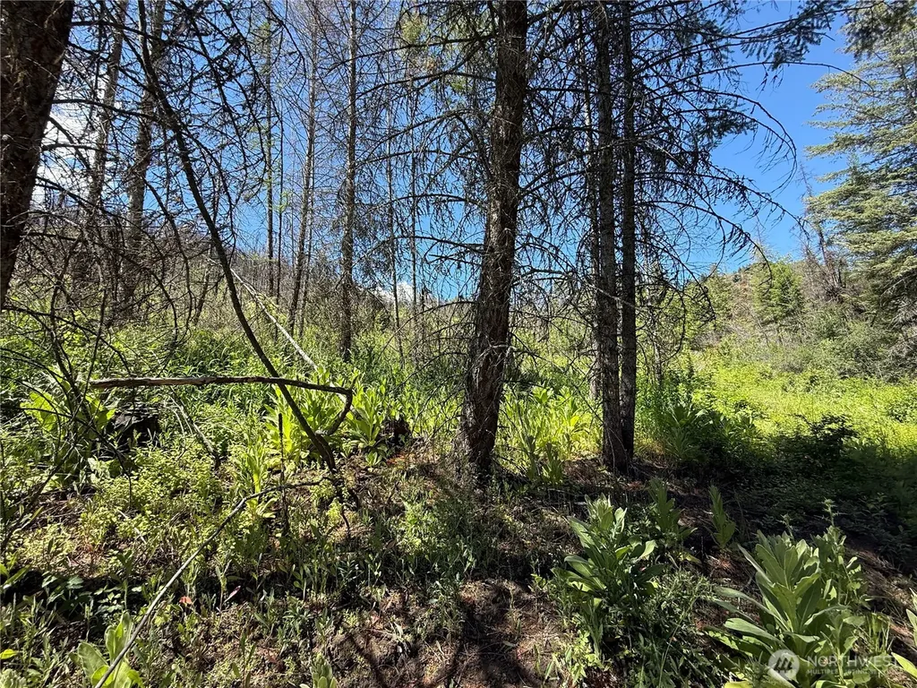 0 4th Of July Creek Road Danville WA 99121