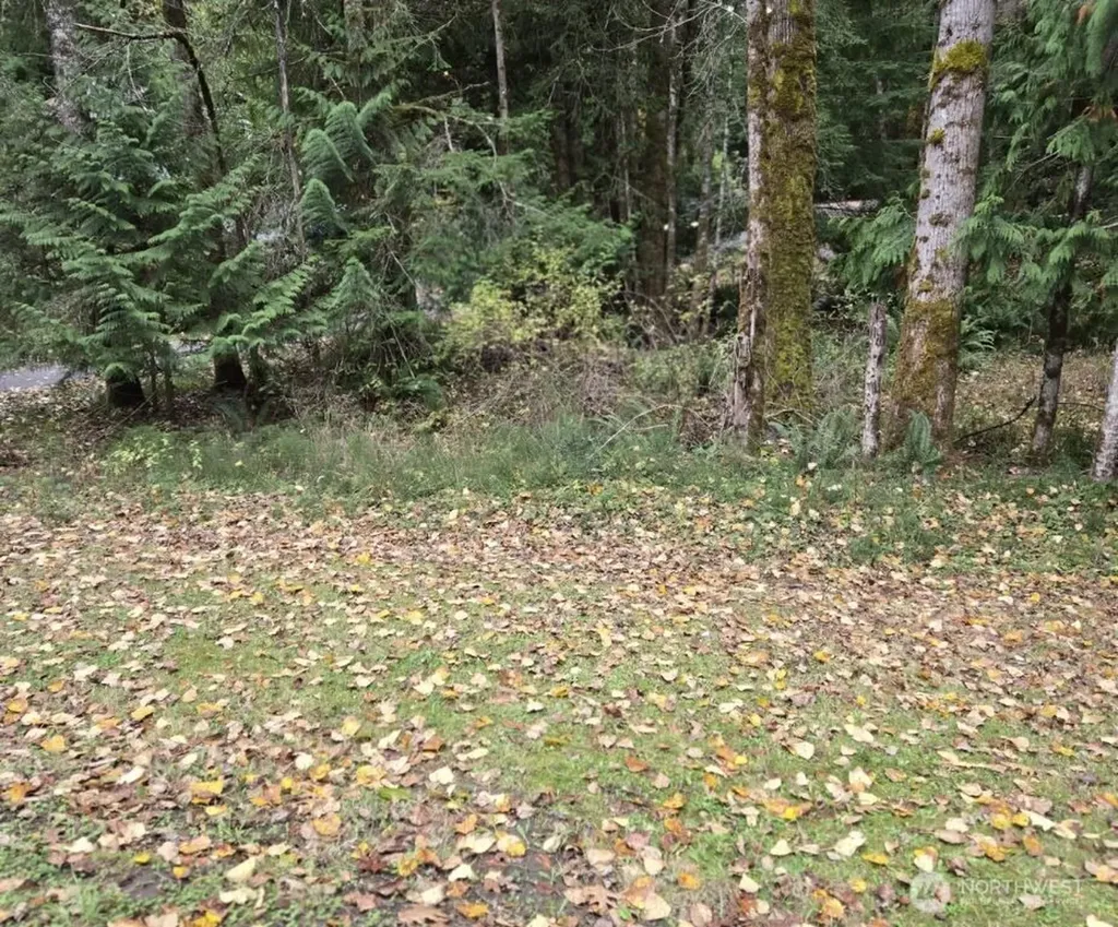 8 Huckleberry Court Bellingham WA 98229