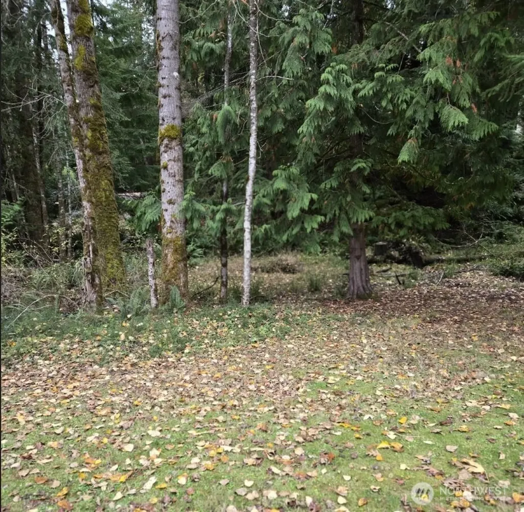 8 Huckleberry Court Bellingham WA 98229