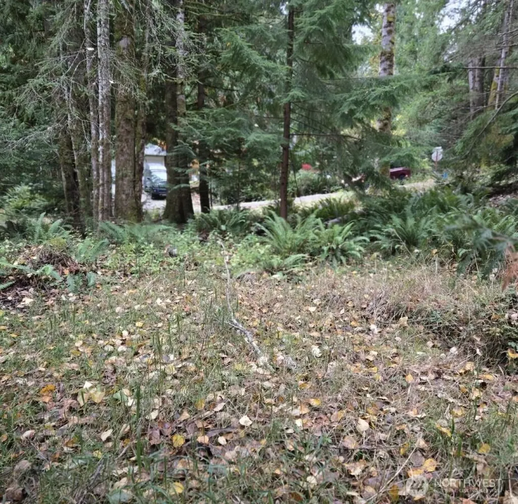 8 Huckleberry Court Bellingham WA 98229