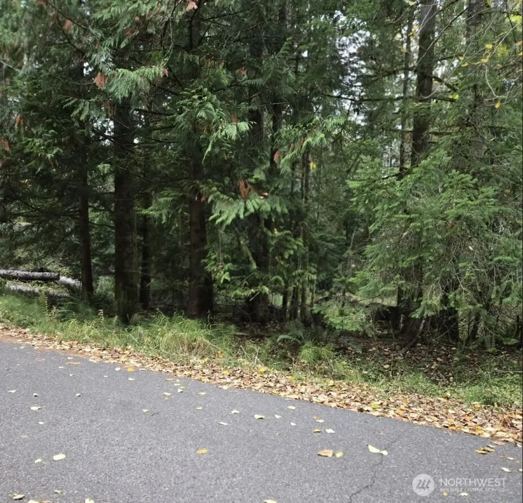 8 Huckleberry Court Bellingham WA 98229