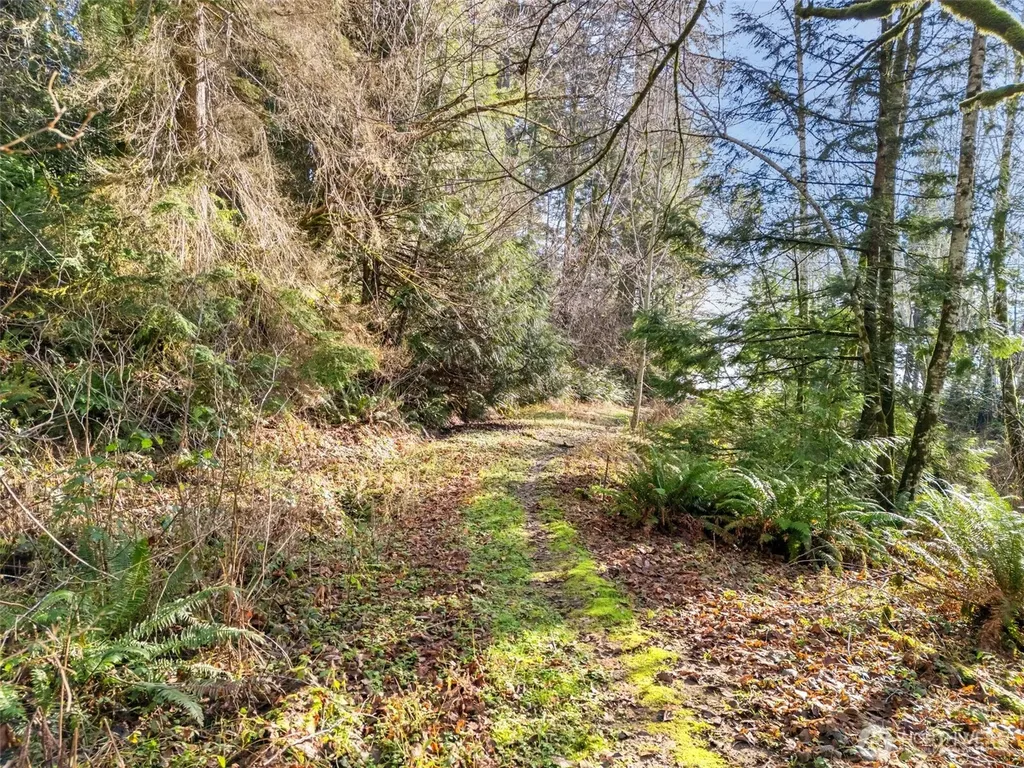 131 SE Driftwood Lane Shelton WA 98584