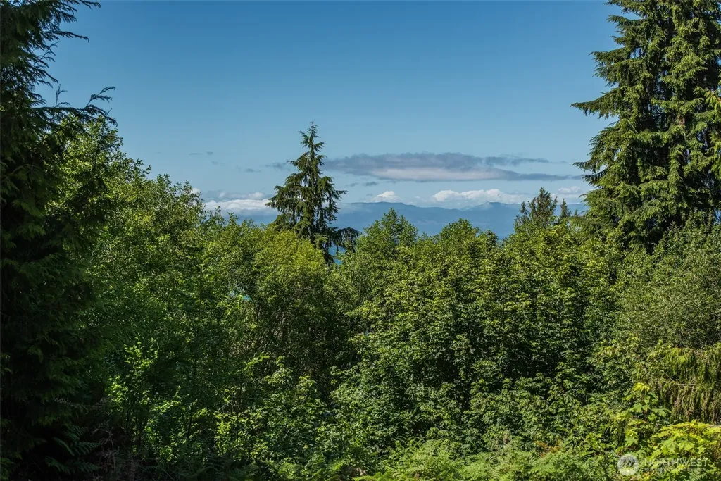 43 Mowitch Trail Port Angeles WA 98363