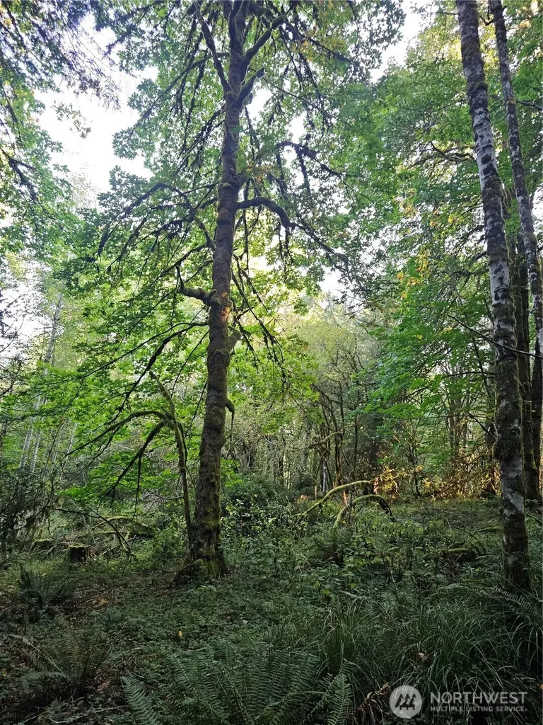 2540 E North Island Drive Shelton WA 98584