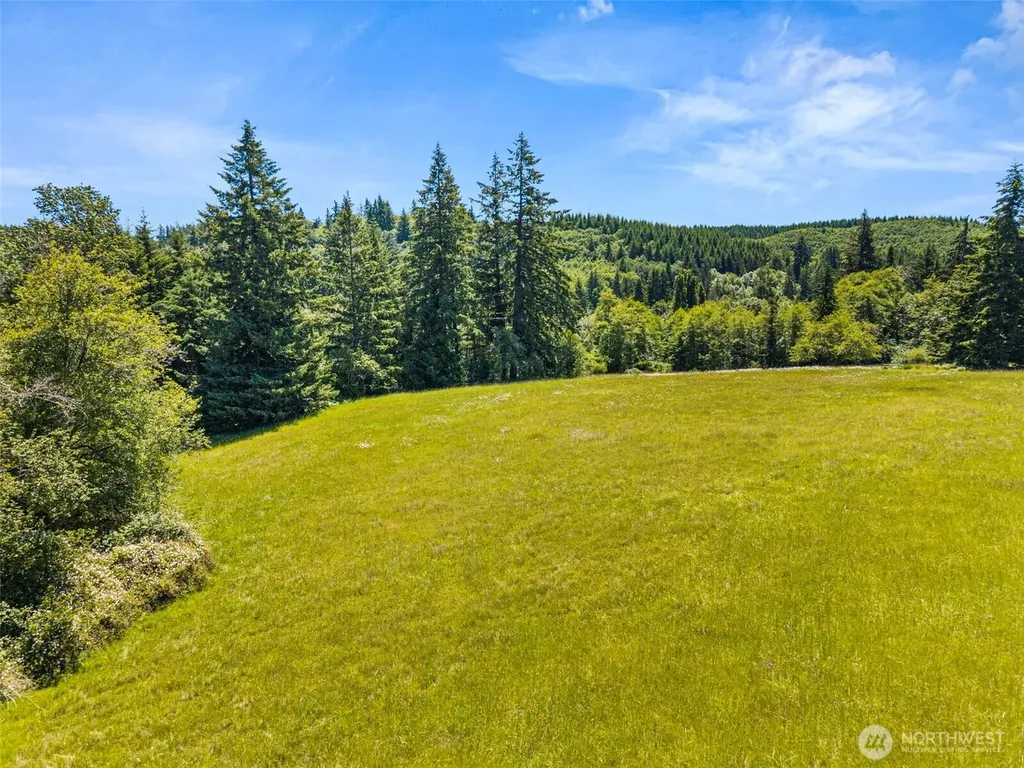 0 Ramsey Road Adna WA 98522