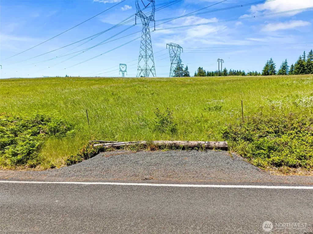 0 Ramsey Road Adna WA 98522