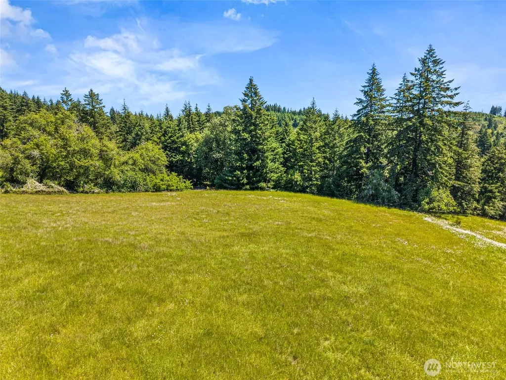 0 Ramsey Road Adna WA 98522