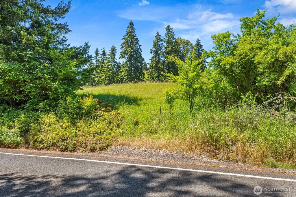 0 Ramsey Road Adna WA 98522
