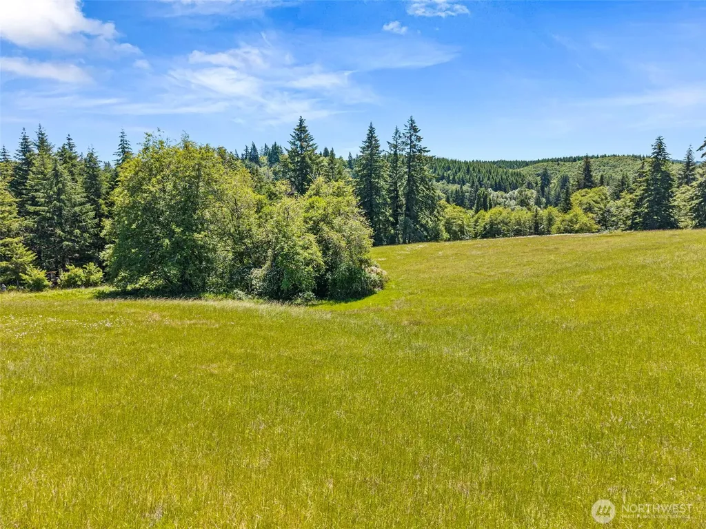 0 Ramsey Road Adna WA 98522