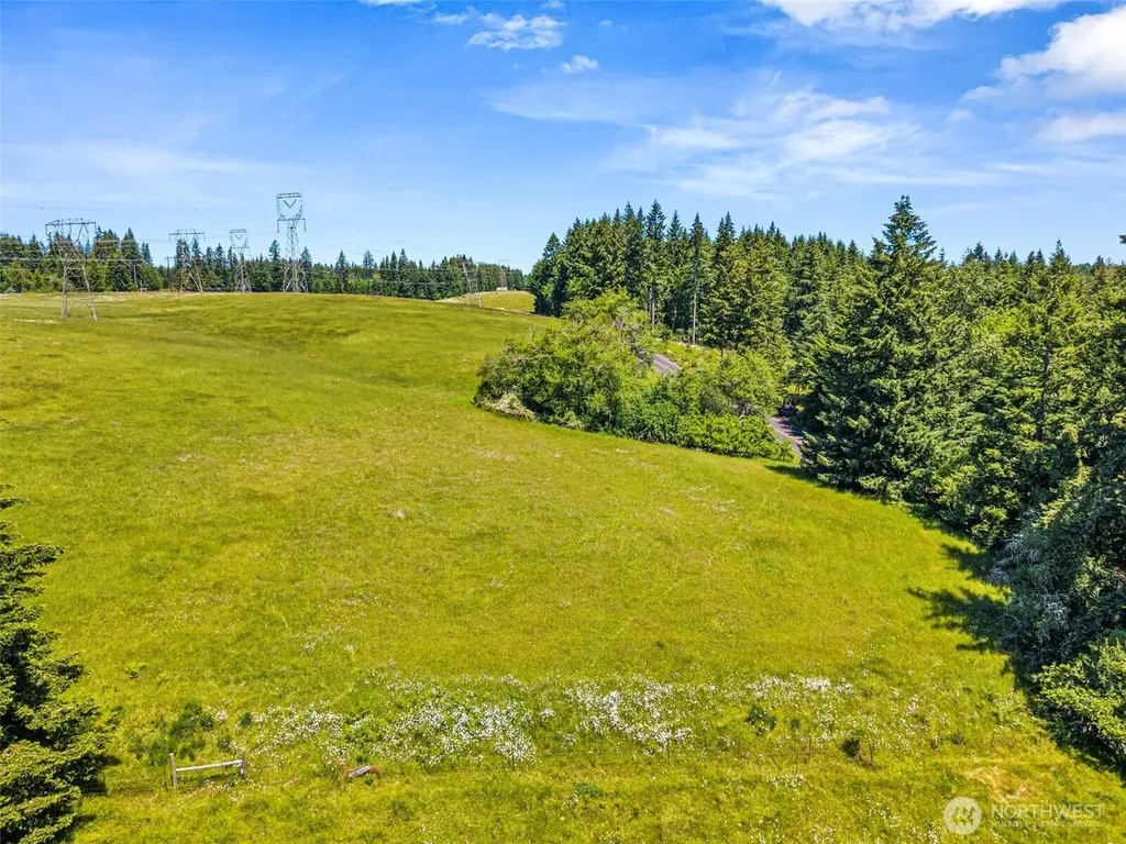 0 Ramsey Road Adna WA 98522