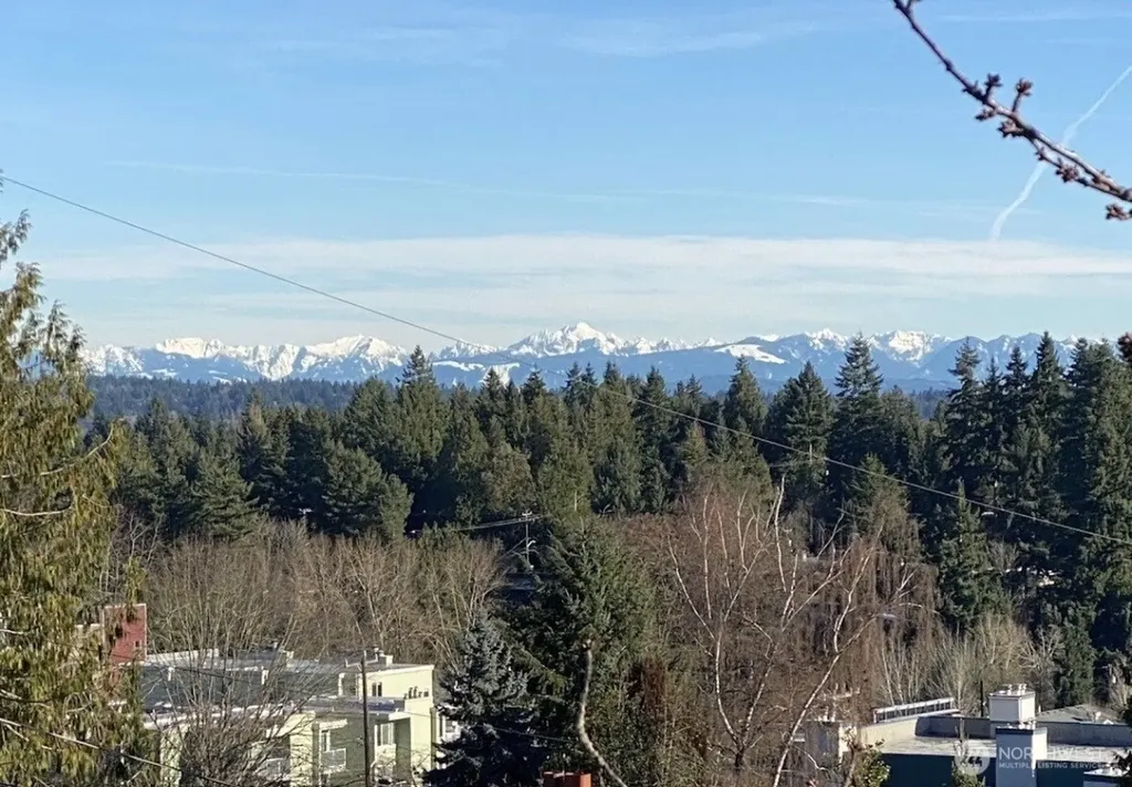 8526 17th Avenue NE Seattle WA 98115