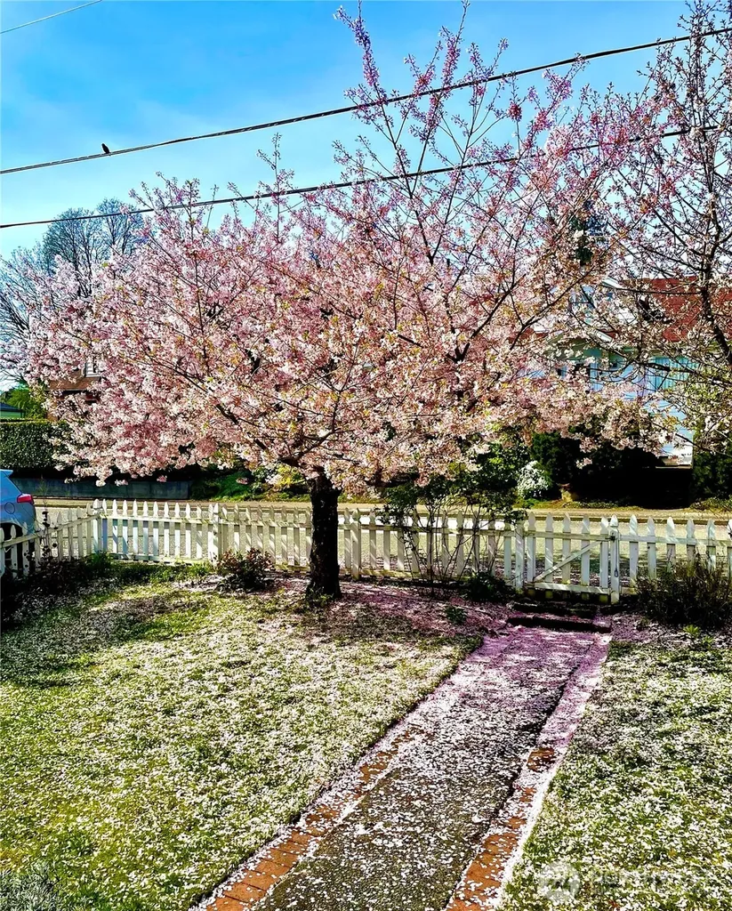 8526 17th Avenue NE Seattle WA 98115