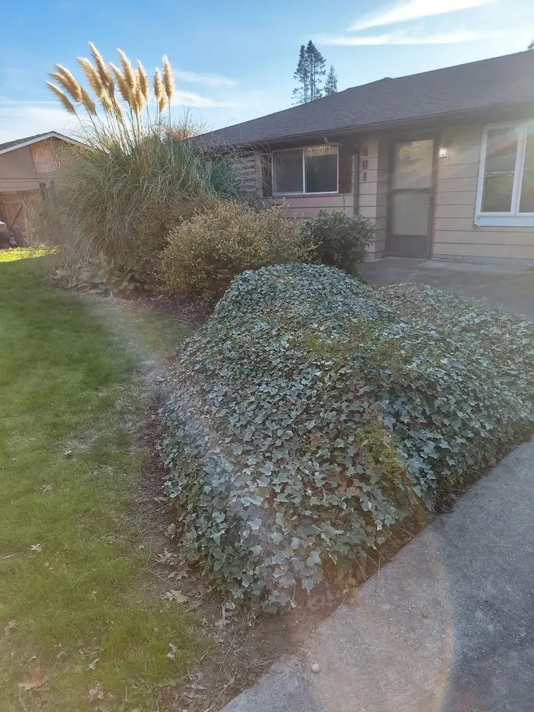 401 S Gardner Burlington WA 98233