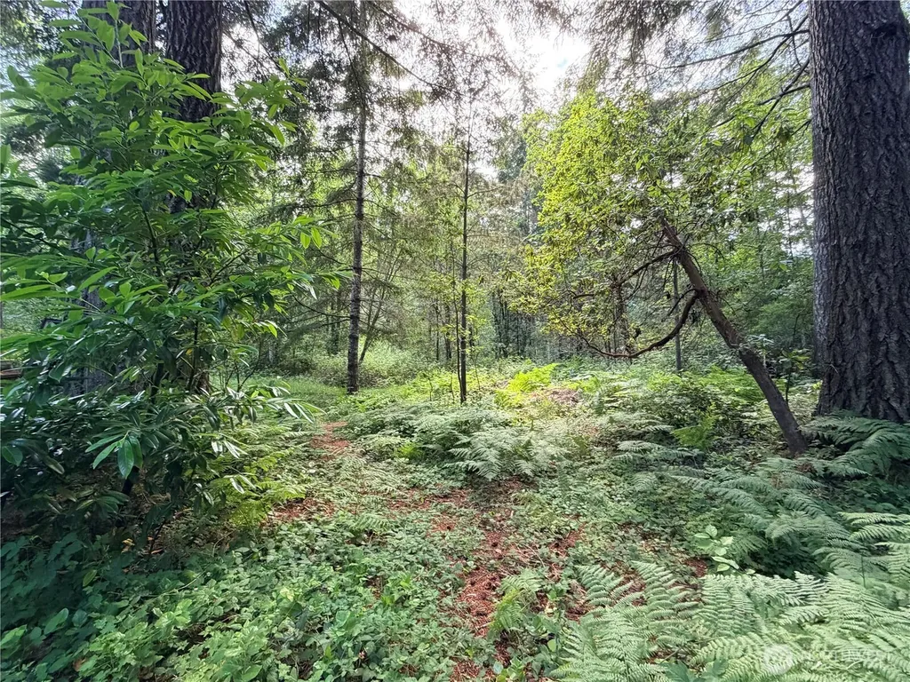 5445 SW County Line Road Port Orchard WA 98367