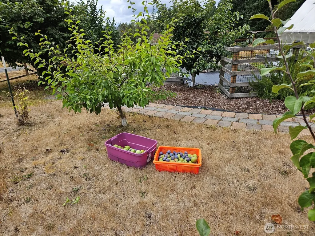 12606 Silver Drive Anderson Island WA 98303