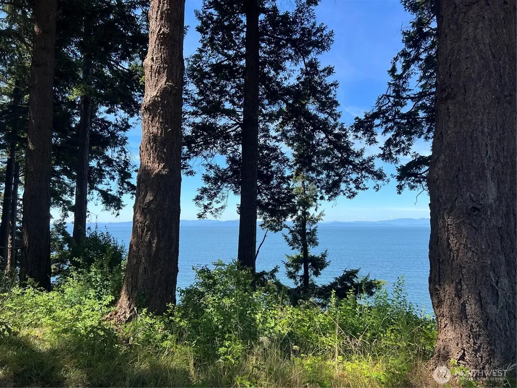 297 Marine Drive Point Roberts WA 98281
