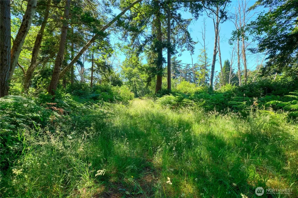 297 Marine Drive Point Roberts WA 98281