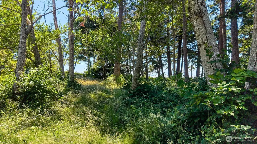 297 Marine Drive Point Roberts WA 98281