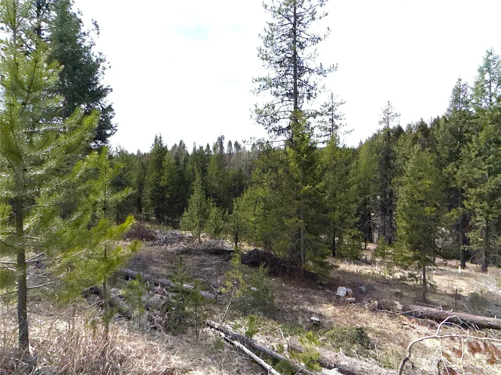 37 Gardner Creek Road Republic WA 99166