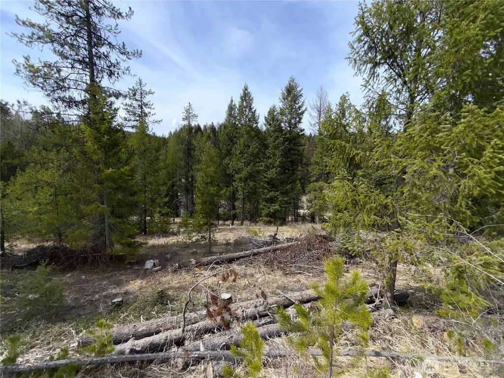 37 Gardner Creek Road Republic WA 99166